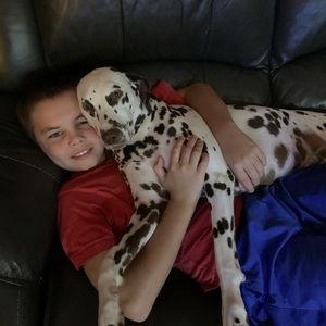 Meet your Posher, Amanda